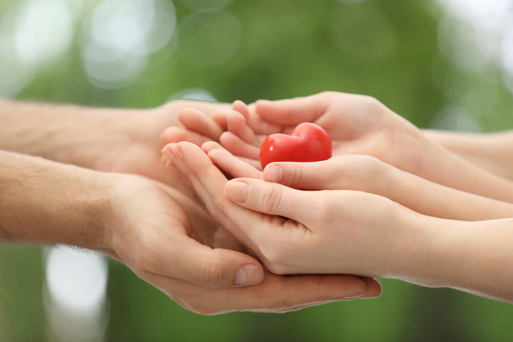 Parents and Kid Holding Red Heart in Hands Outdoors